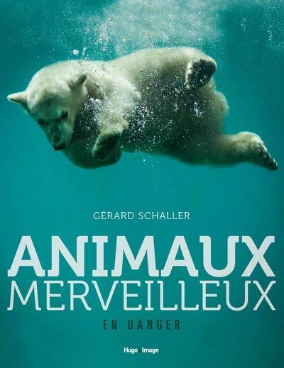 ANIMAUX MERVEILLEUX EN DANGER