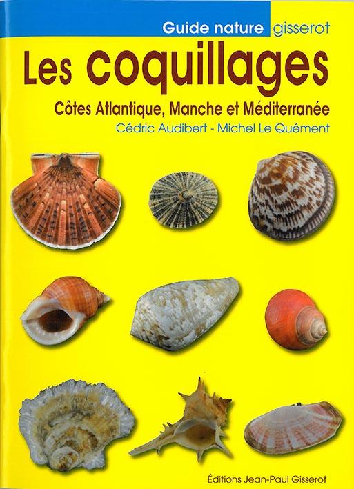 LES COQUILLAGES DE NOS COTES