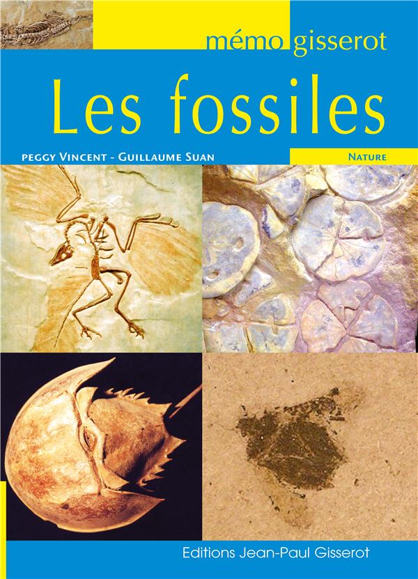 MEMO - LES FOSSILES