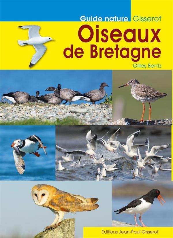 OISEAUX DE BRETAGNE