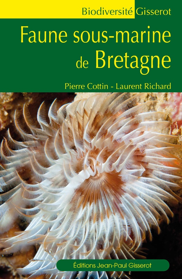 FAUNE SOUS-MARINE DE BRETAGNE