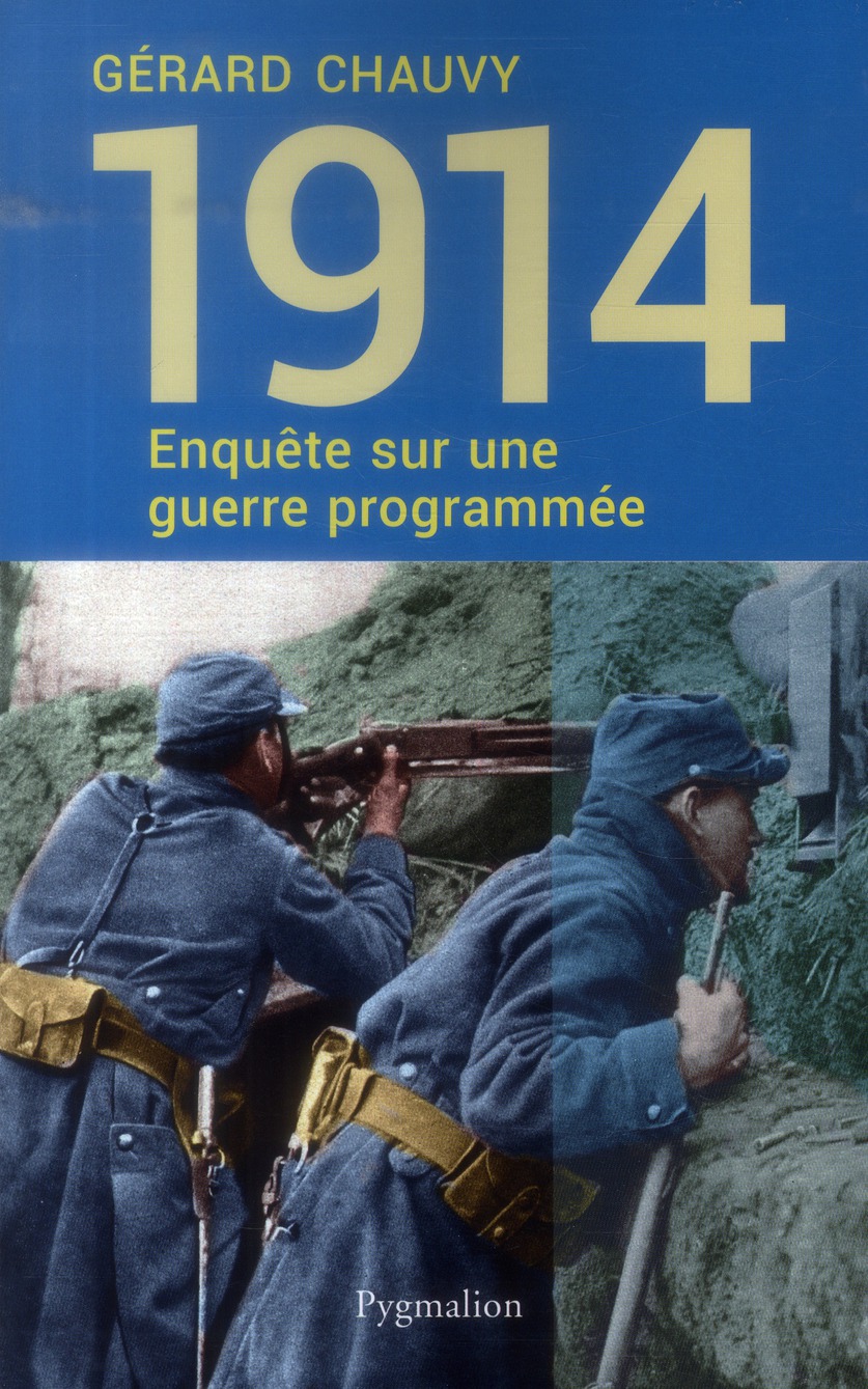 1914, ENQUETE SUR UNE GUERRE PROGRAMMEE