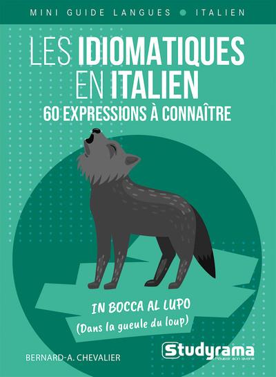 MINI GUIDE LANGUES - LES IDIOMATIQUES EN ITALIEN 60AEXPRESSIONS A CONNAITRE