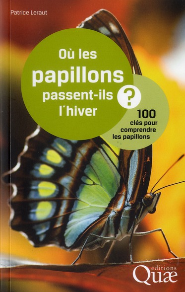 OU LES PAPILLONS PASSENT-ILS L'HIVER ? - 100 CLES POUR COMPRENDRE LES PAPILLONS.