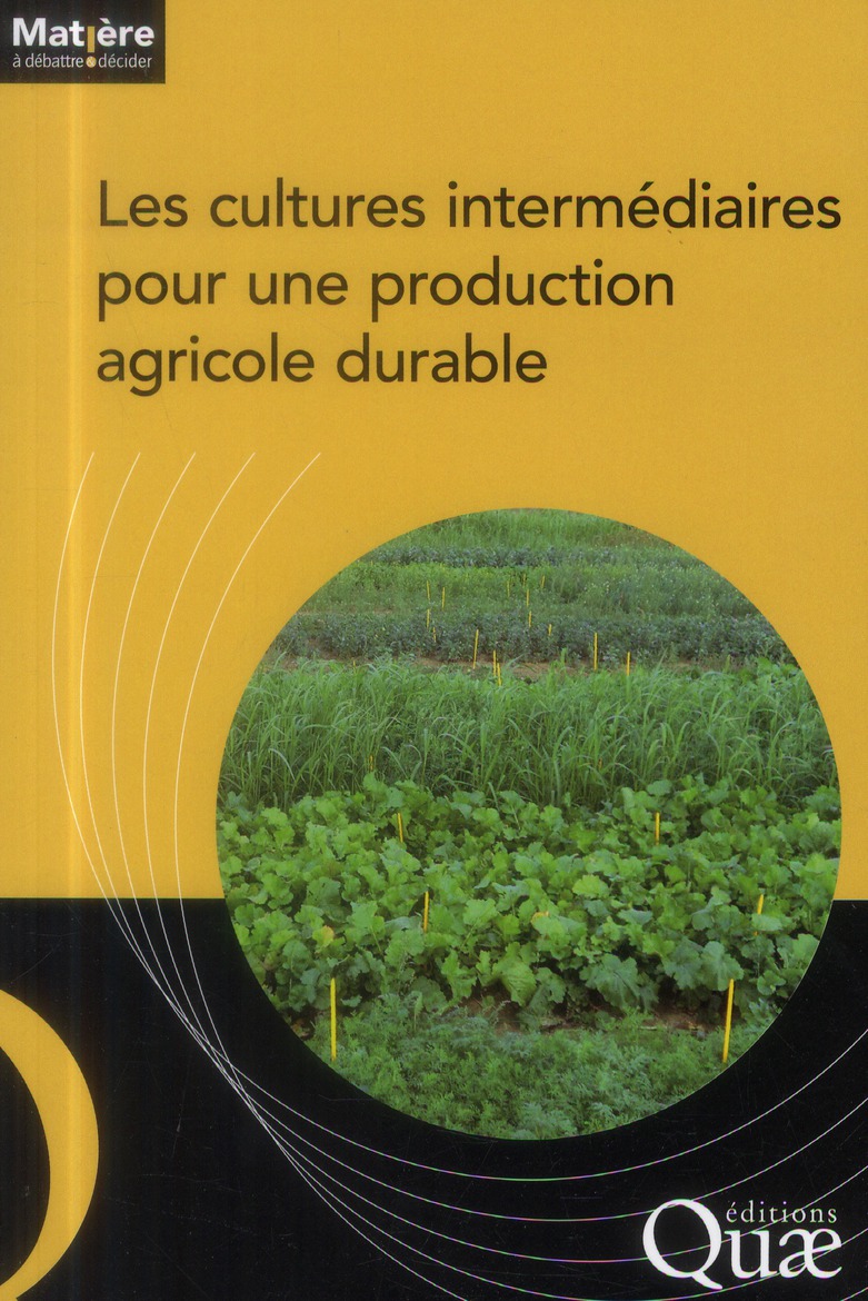 LES CULTURES INTERMEDIAIRES POUR UNE PRODUCTION AGRICOLE DURABLE