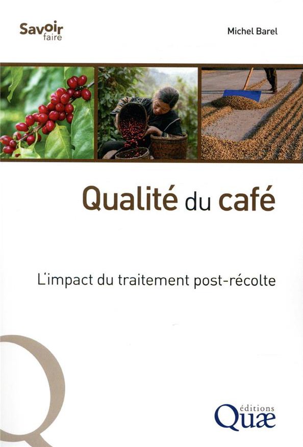 QUALITE DU CAFE - L'IMPACT DU TRAITEMENT POST-RECOLTE
