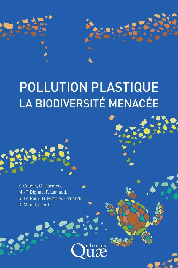 POLLUTION PLASTIQUE, LA BIODIVERSITE MENACEE