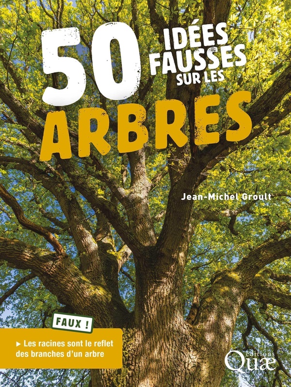 50 IDEES FAUSSES SUR LES ARBRES