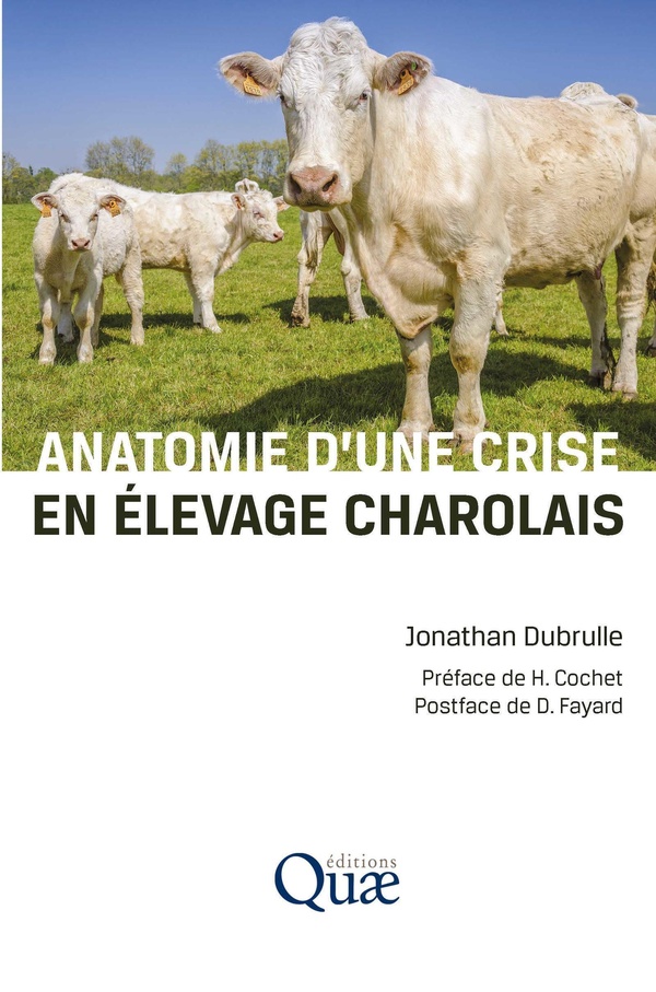 ANATOMIE D'UNE CRISE EN ELEVAGE CHAROLAIS