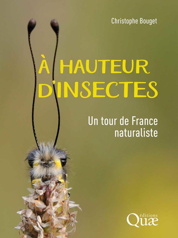 A HAUTEUR D'INSECTES - UN TOUR DE FRANCE NATURALISTE