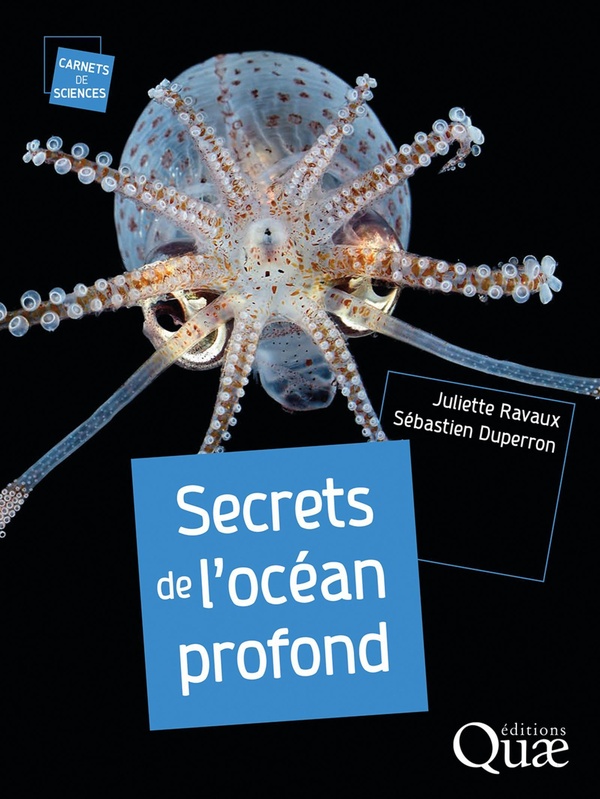 SECRETS DE L'OCEAN PROFOND