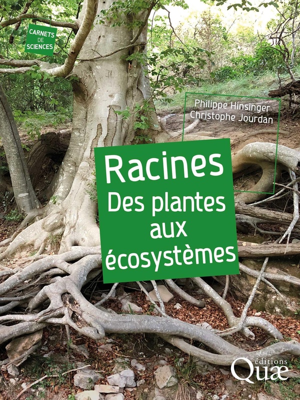 RACINES - DES PLANTES AUX ECOSYSTEMES