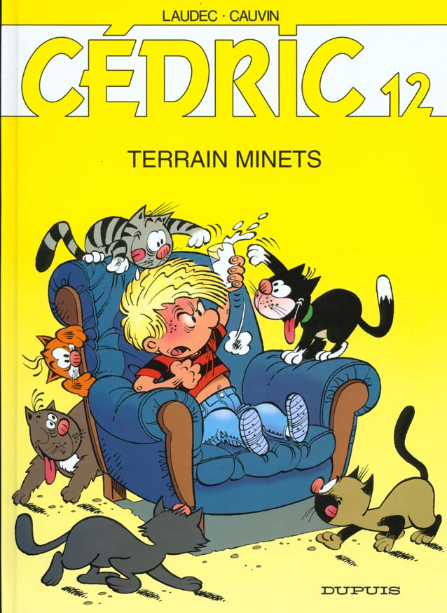 CEDRIC - TOME 12 - TERRAIN MINETS