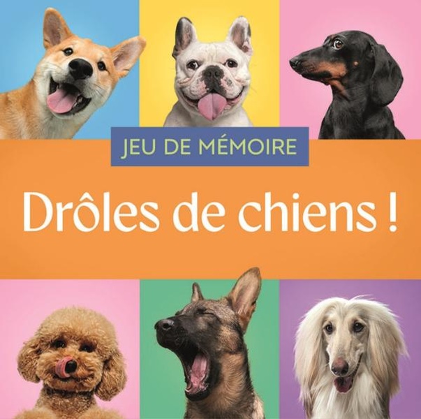 JEU DE MEMOIRE - DROLES DE CHIENS !