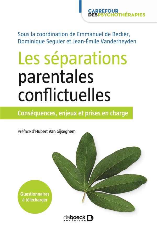 LES SEPARATIONS PARENTALES CONFLICTUELLES - CONSEQUENCES, ENJEUX ET PRISES EN CHARGE