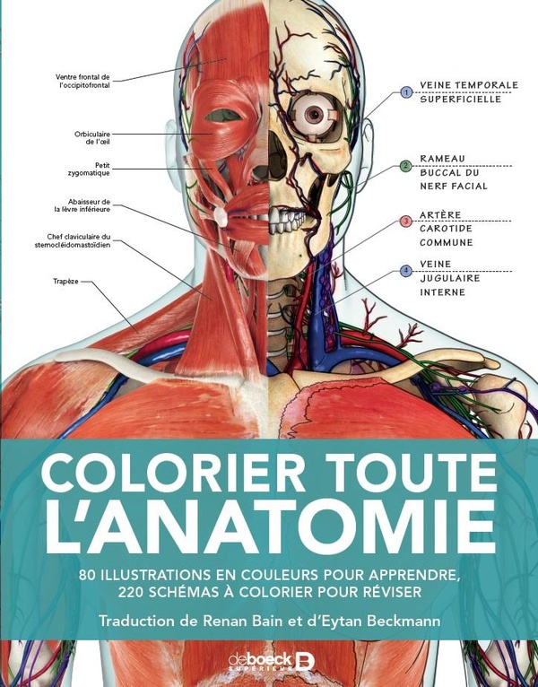 COLORIER TOUTE L'ANATOMIE - 80 ILLUSTRATIONS EN COULEURS POUR APPRENDRE, 220 SCHEMAS A COLORIER POUR