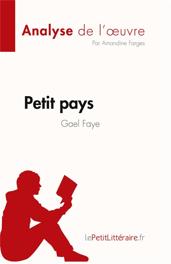 PETIT PAYS DE GAEL FAYE (ANALYSE DE L'OEUVRE) - RESUME COMPLET ET ANALYSE DETAILLEE DE L'OEUVRE