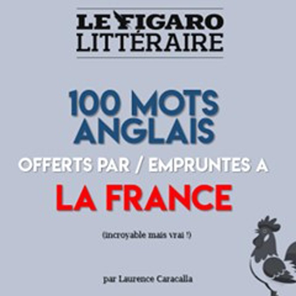 PLV DE 5 GUIDES 100 MOTS ANGLAIS HERITES DU FRANCAIS