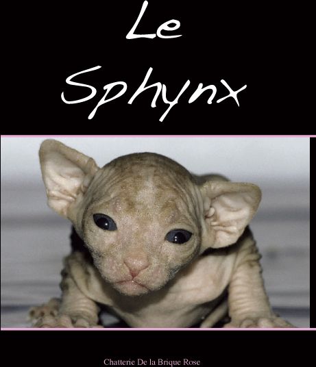 LE SPHYNX