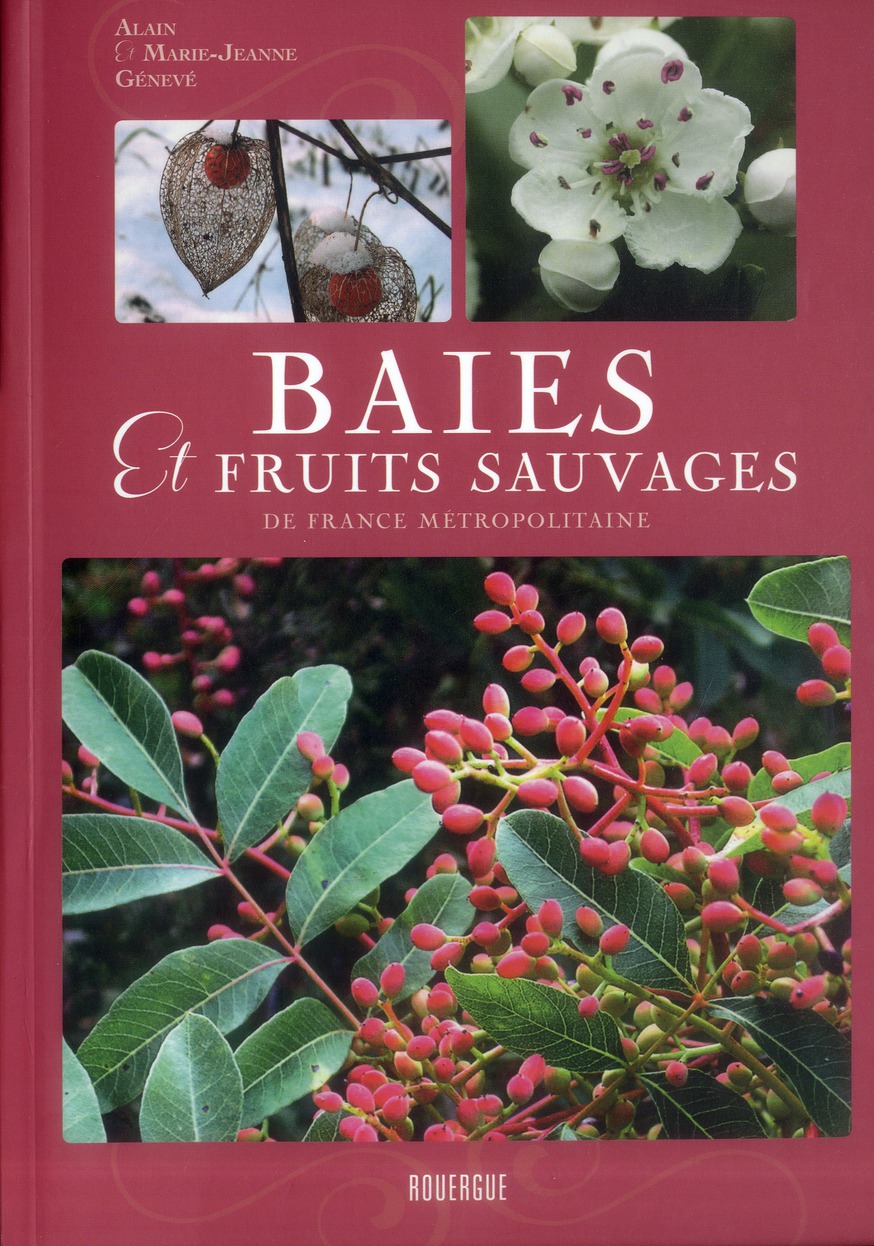 BAIES ET FRUITS SAUVAGES DE FRANCE METROPOLITAINE