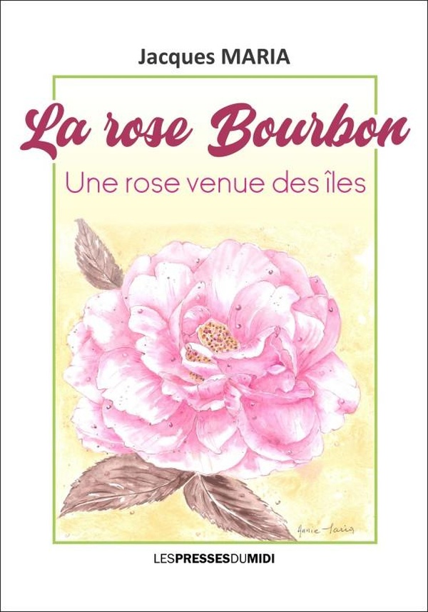 LA ROSE BOURBON - UNE ROSE VENUE DES ILES
