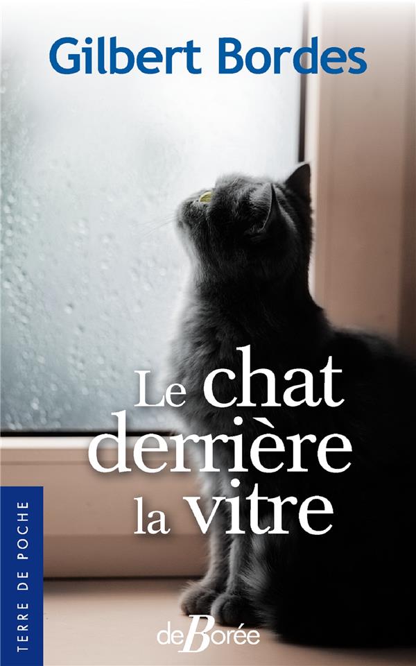 LE CHAT DERRIERE LA VITRE