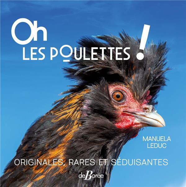 OH LES POULETTES ! ORIGINALES, RARES ET SEDUISANTES
