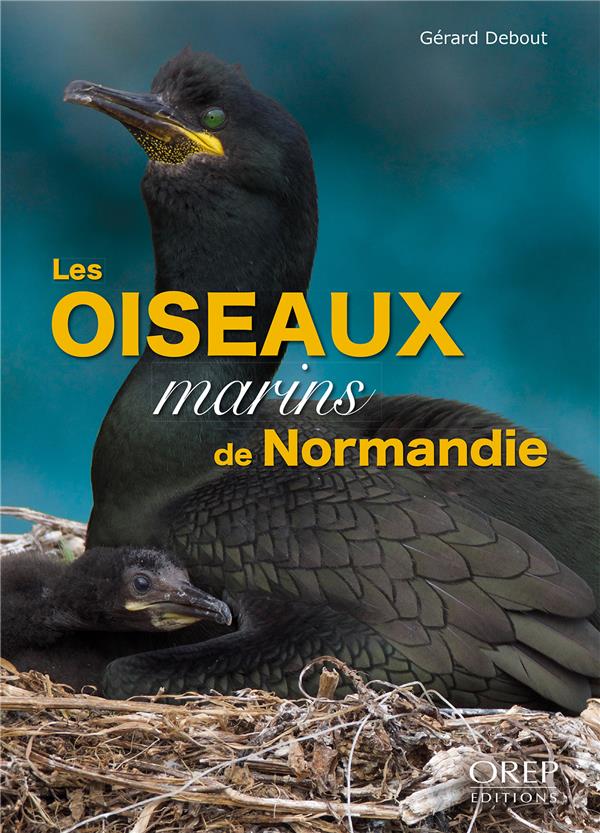 LES OISEAUX MARINS DE NORMANDIE