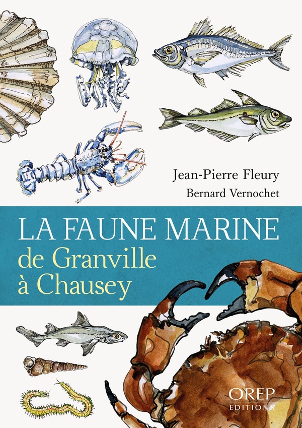 LA FAUNE MARINE DE GRANVILLE A CHAUSEY