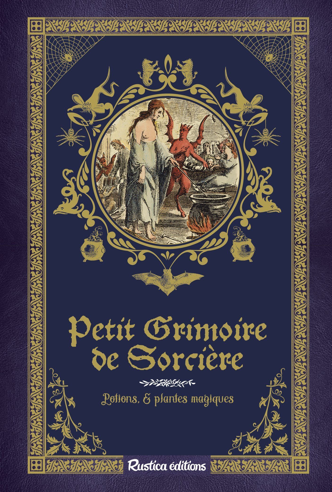 PETIT GRIMOIRE DE SORCIERE. POTIONS & PLANTES MAGIQUES