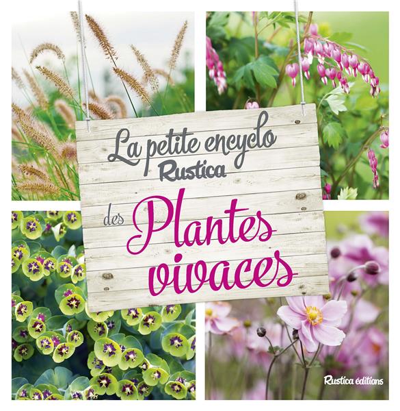 LA PETITE ENCYCLO RUSTICA DES PLANTES VIVACES