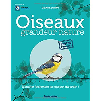 OISEAUX GRANDEUR NATURE - IDENTIFIER FACILEMENT LES OISEAUX DU JARDIN !
