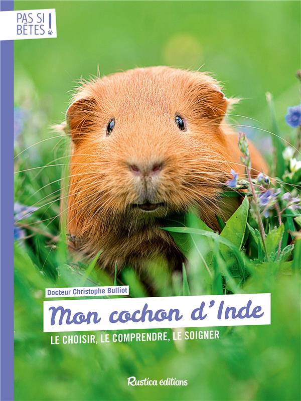 MON COCHON D'INDE