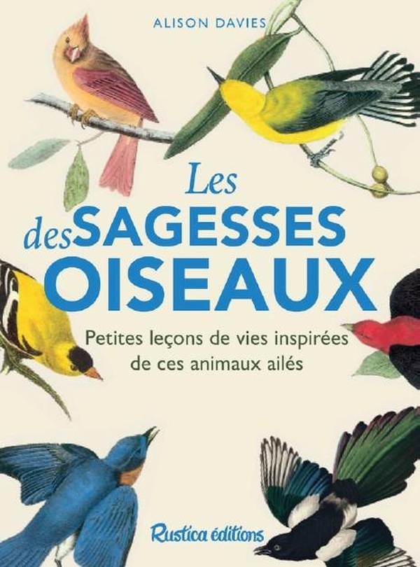LES SAGESSES DES OISEAUX - PETITES LECONS DE VIE INSPIREES DE CES ANIMAUX SURPRENANTS