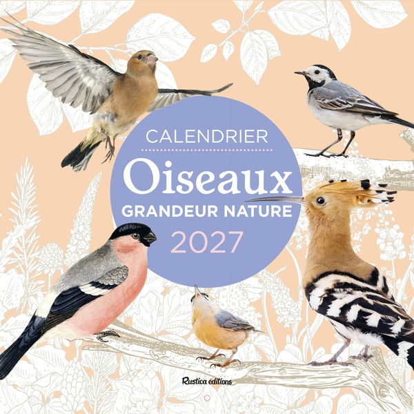CALENDRIER OISEAUX GRANDEUR NATURE 2027