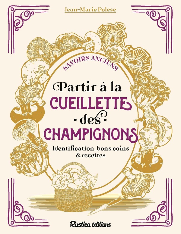 PARTIR A LA CUEILLETTE DES CHAMPIGNONS