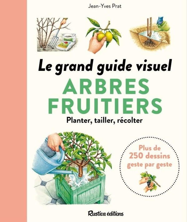 LE GRAND GUIDE VISUEL DES ARBRES FRUITIERS - PLANTER, TAILLER, RECOLTER...