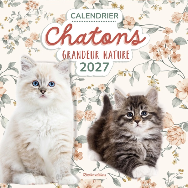 CALENDRIER CHATONS GRANDEUR NATURE 2027