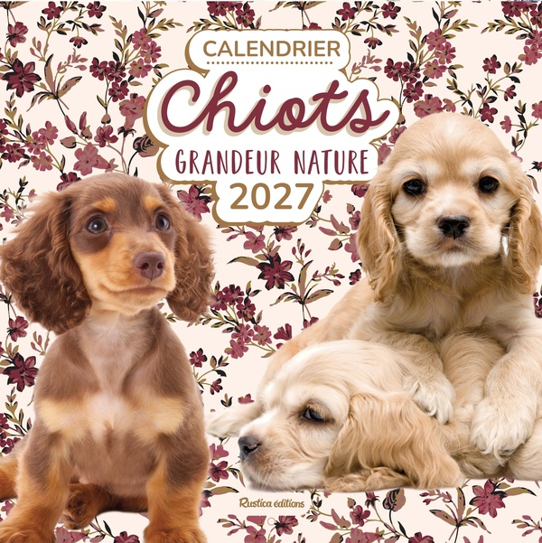 CALENDRIER CHIOTS GRANDEUR NATURE 2027