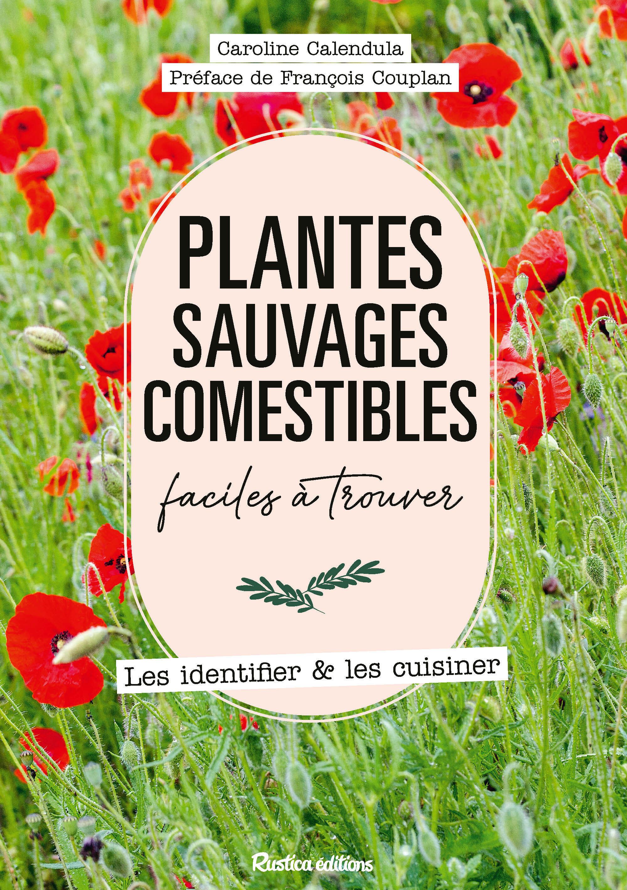 PLANTES SAUVAGES COMESTIBLES FACILES A TROUVER