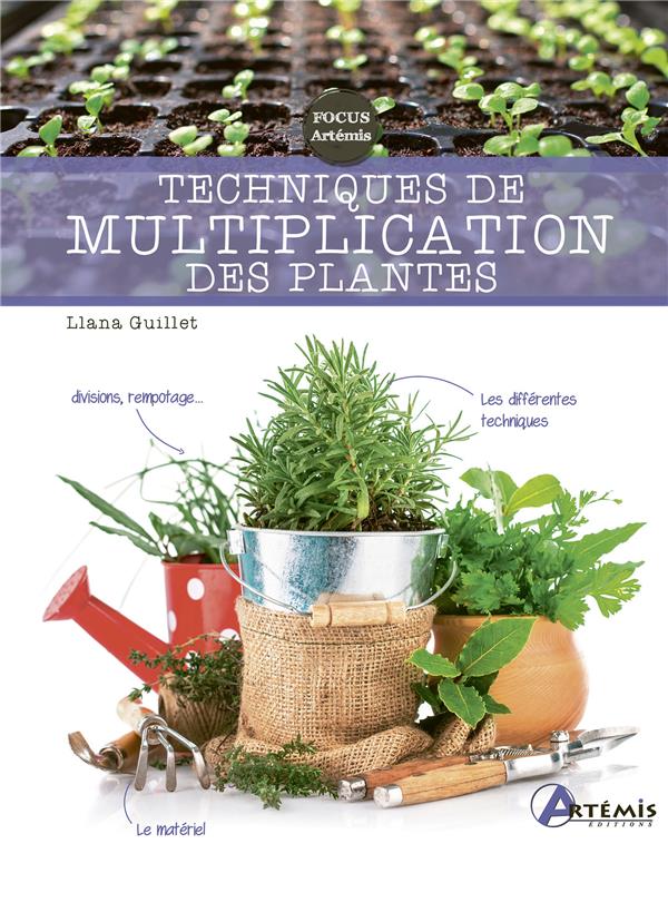 TECHNIQUES DE MULTIPLICATION DES PLANTES