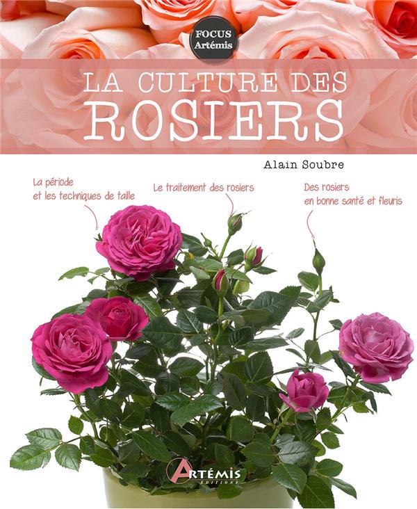 LA CULTURE DES ROSIERS