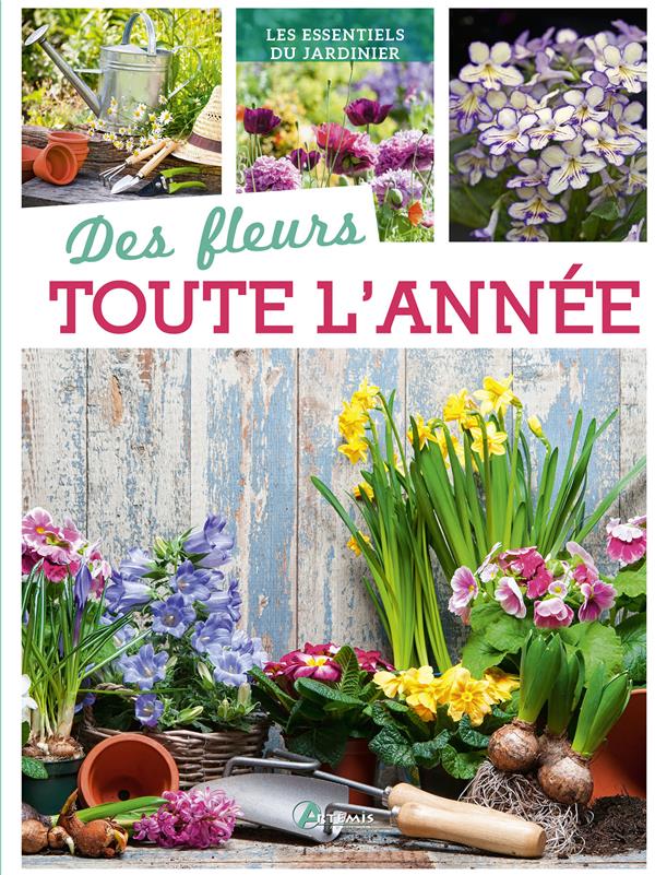 DES FLEURS TOUTE L'ANNEE