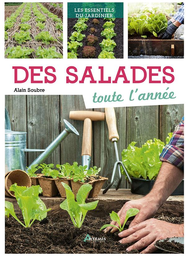 SALADES TOUTE L'ANNEE (DES)