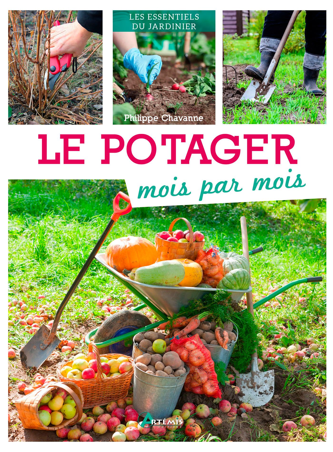 LE POTAGER MOIS PAR MOIS