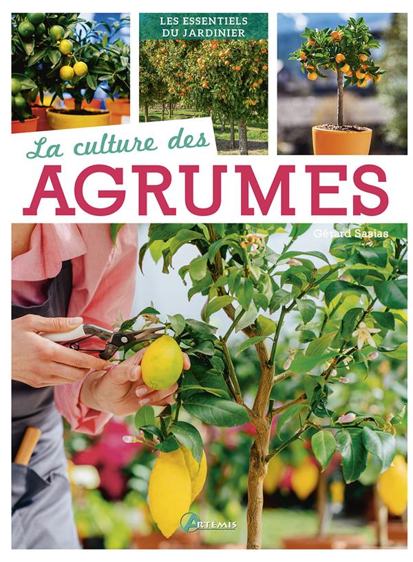 LA CULTURE DES AGRUMES