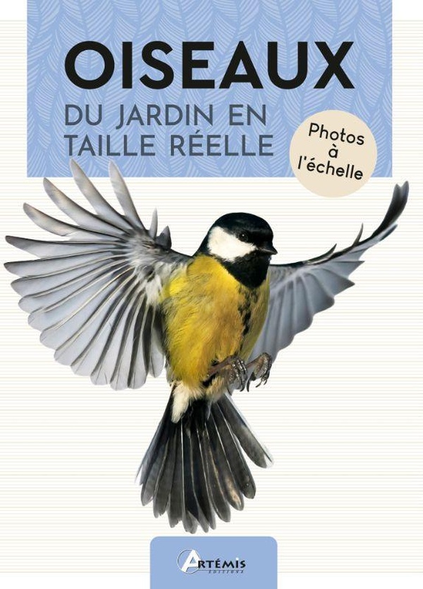 OISEAUX DU JARDIN EN TAILLE REELLE
