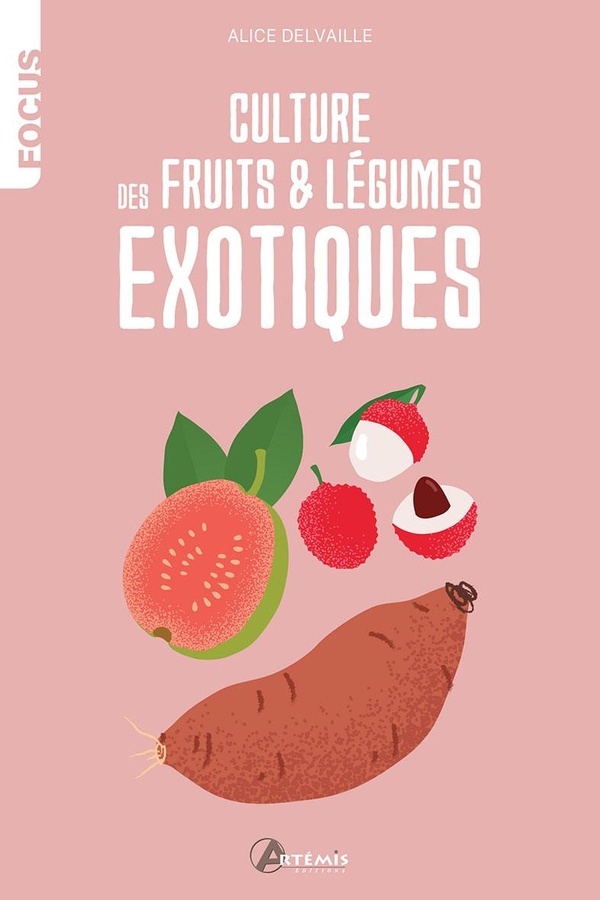 CULTURE DE FRUITS ET LEGUMES EXOTIQUES