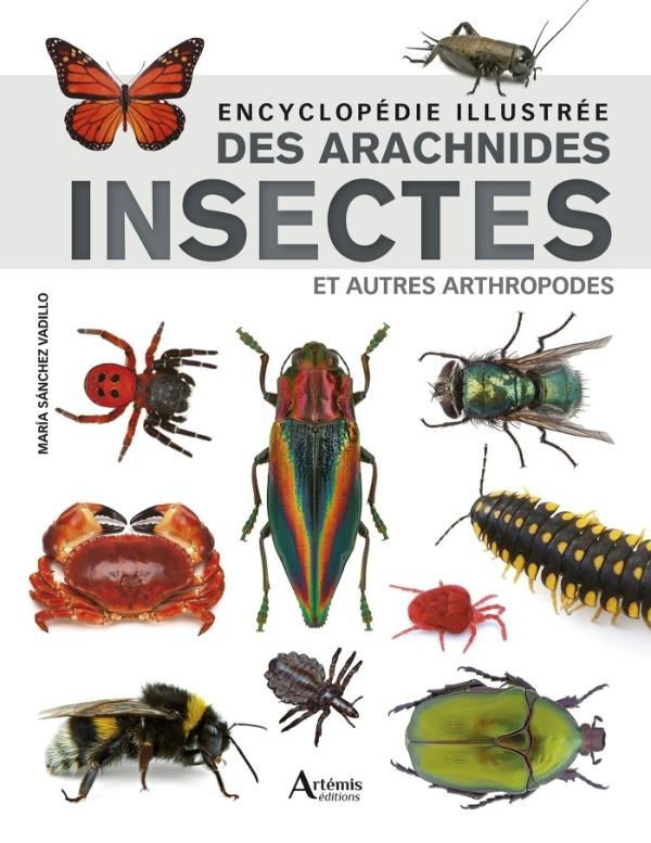 ENCYCLOPEDIE ILLUSTREE DES ARACHNIDES, INSECTES ET AUTRES ARTHROPODES