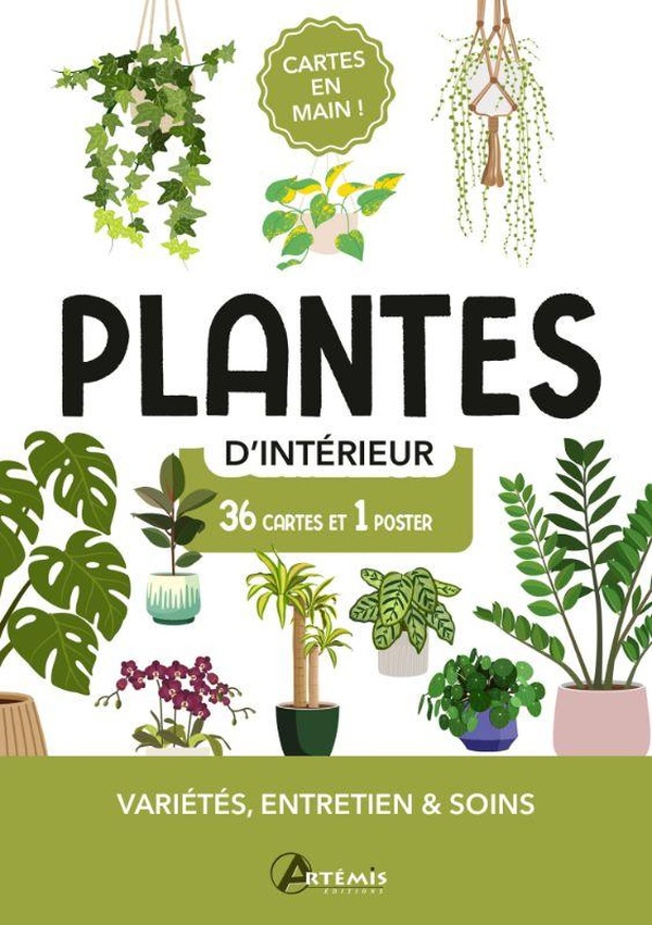 PLANTES D'INTERIEUR